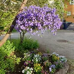 Kvammehuset Pa Gamle 度假居
