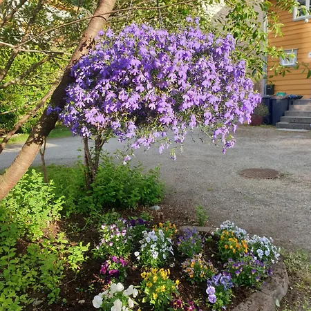 Kvammehuset Pa Gamle Ferienhaus