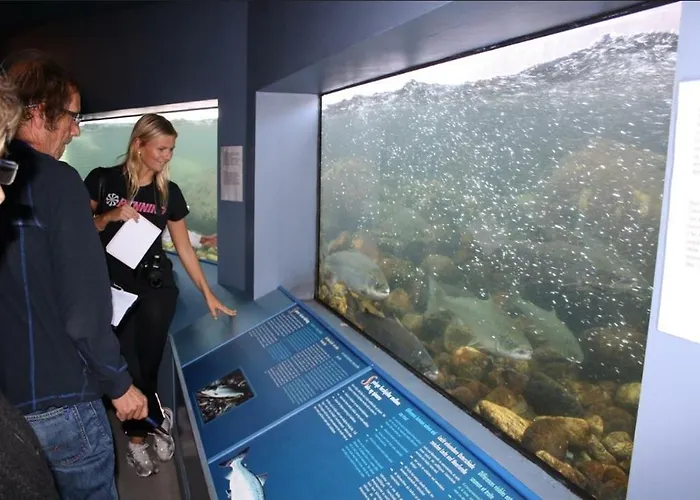 Kvammehuset Pa Gamle 度假居 Lærdalsøyri