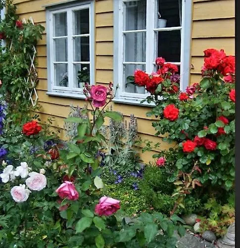 Kvammehuset Pa Gamle Tatil Evi