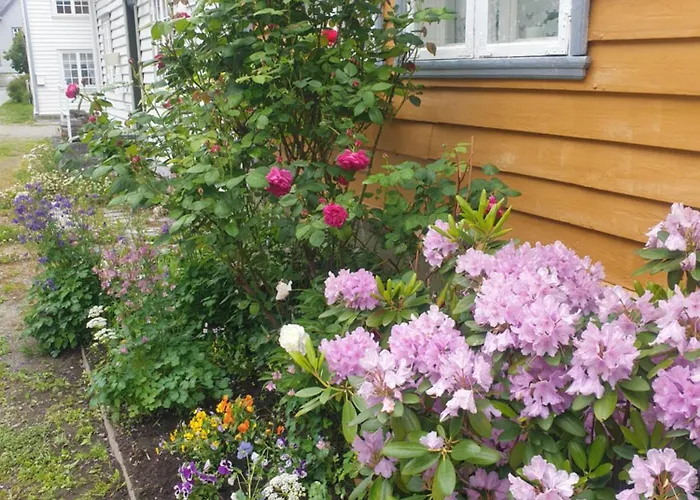 Kvammehuset Pa Gamle