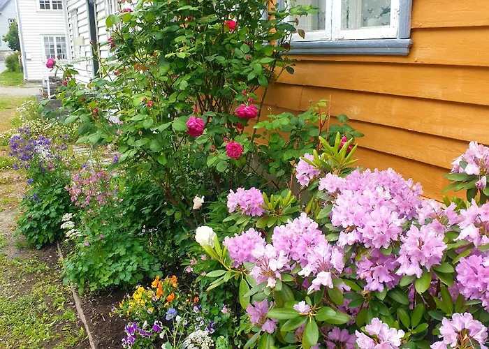 Kvammehuset Pa Gamle Tatil Evi Lærdalsøyri